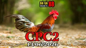 Clip Đá Gà Trực Tiếp CPC2 Ngày 13062026