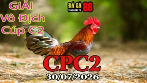 [Giải Gà CPC2] Video đá gà trực tiếp CPC2 ngày 30072026